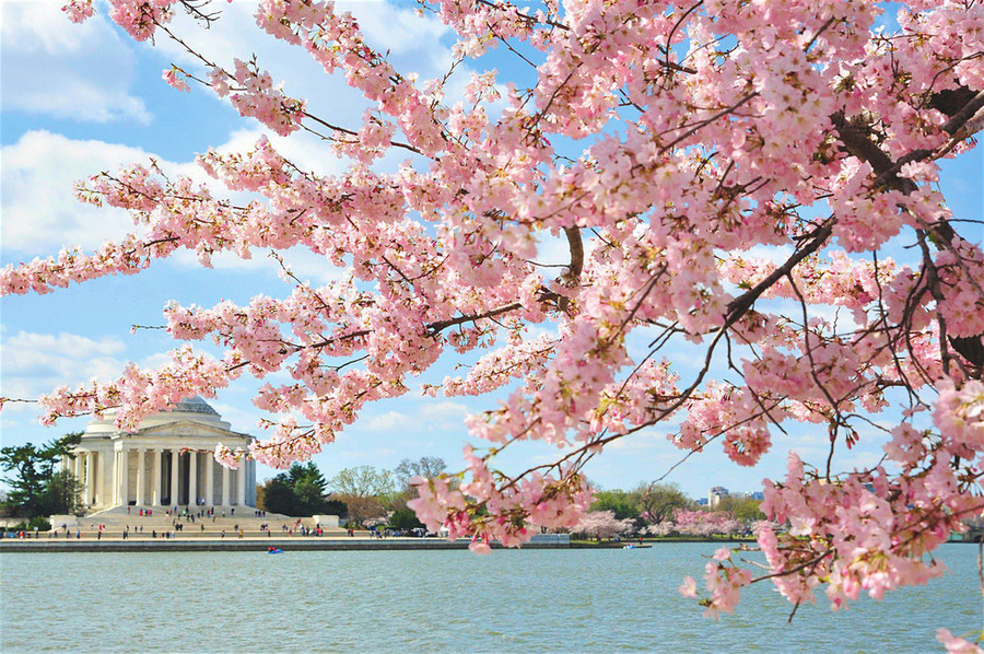 Khung cảnh thơ mộng ở Washington D.C, Mỹ - Ảnh: Lonely Planet