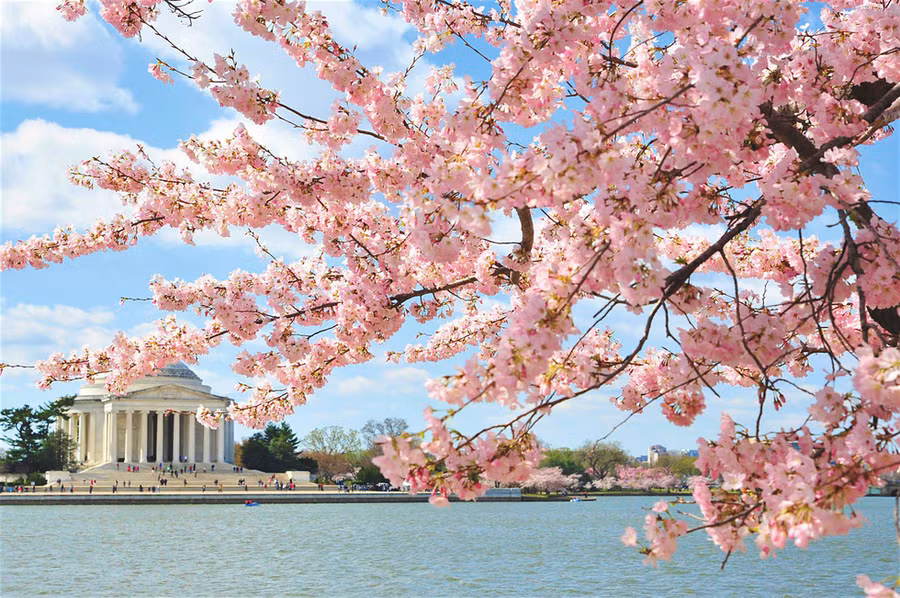 Khung cảnh thơ mộng ở Washington D.C, Mỹ - Ảnh: Lonely Planet
