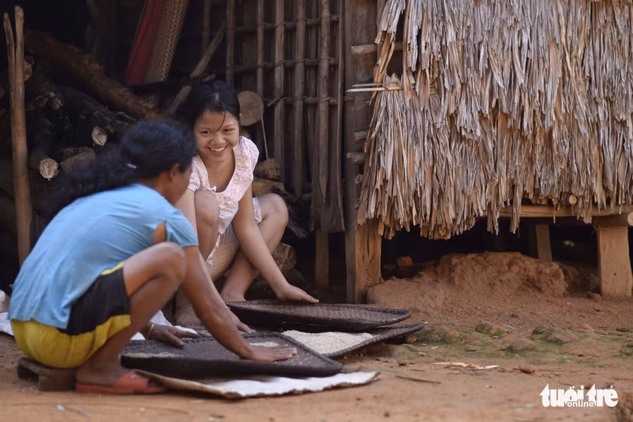  Các cô gái trẻ sàng gạo - Ảnh: LÊ VĂN ÁNH