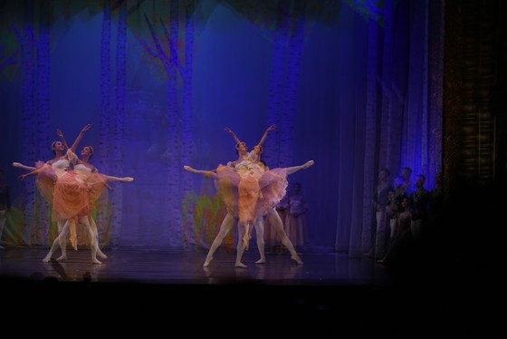 Đây là lần đầu tiên sau 30 năm vở Hồ Thiên Nga được dựng bản đầy đủ