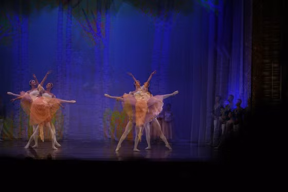 Đây là lần đầu tiên sau 30 năm vở Hồ Thiên Nga được dựng bản đầy đủ