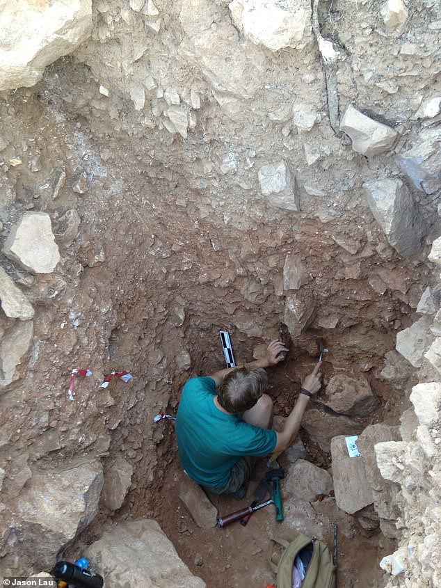  Một nhà khảo cổ đang khai quật hiện trường - ảnh: JASON LAU