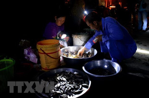 Mua bán cá linh vào mùa nước nổi. (Ảnh minh họa. Công Mạo/TTXVN) Mua bán cá linh vào mùa nước nổi. (Ảnh minh họa. Công Mạo/TTXVN)