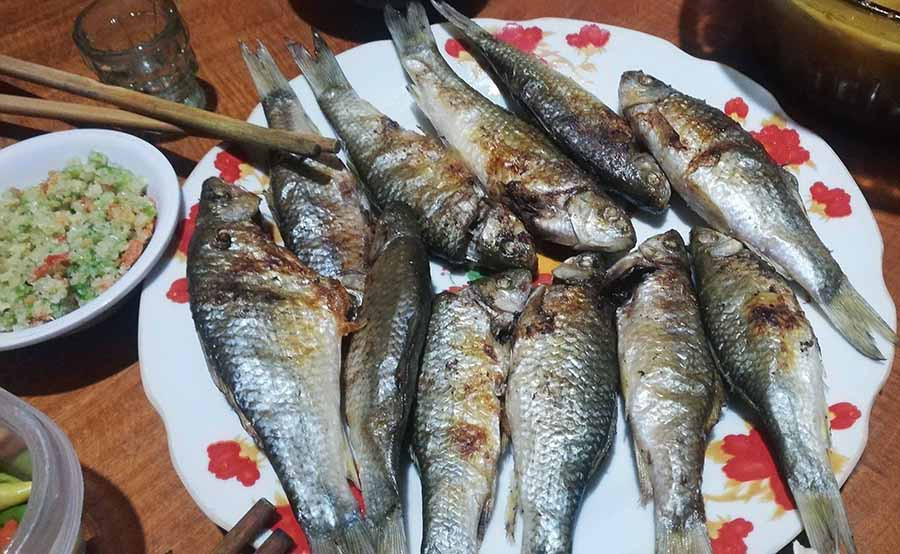  Cá niên nướng chấm muối hột giã với ớt là món đặc sản ở huyện An Lão (tỉnh Bình Định). Ảnh: T.Đ