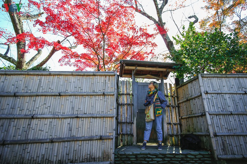 Bất cứ góc nào cũng có thể tạo nên một bức ảnh đẹp mắt đậm chất Nhật, đặc biệt là nếu bạn thuê trang phục kimono từ các quầy dịch vụ có sẵn ở đây. Bất cứ góc nào cũng có thể tạo nên một bức ảnh đẹp mắt đậm chất Nhật, đặc biệt là nếu bạn thuê trang phục kimono từ các quầy dịch vụ có sẵn ở đây.