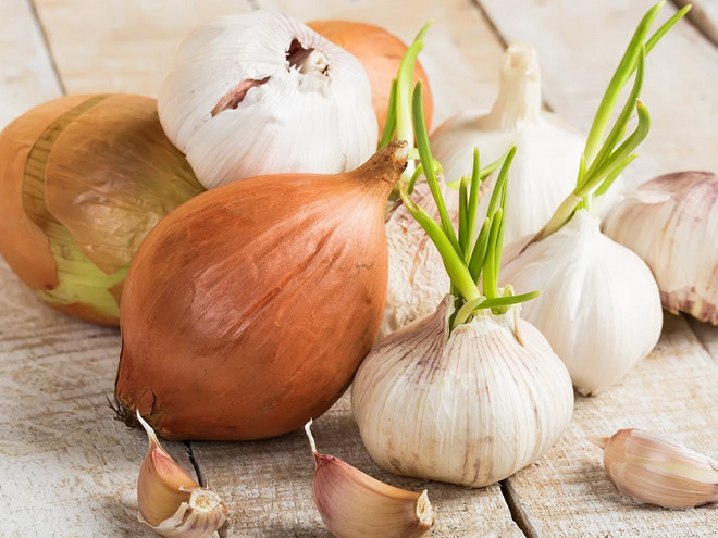 Các chất chống ô xy hóa trong hành tây và tỏi tươi có thể giúp giảm đáng kể nguy cơ bị ung thư vú - Ảnh minh họa: Shutterstock Các chất chống ô xy hóa trong hành tây và tỏi tươi có thể giúp giảm đáng kể nguy cơ bị ung thư vú - Ảnh minh họa: Shutterstock