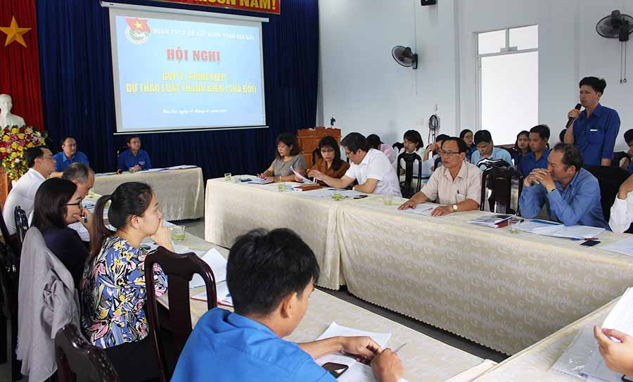Toàn cảnh hội nghị góp ý, phản biện dự thảo Luật Thanh niên. Ảnh: P.L