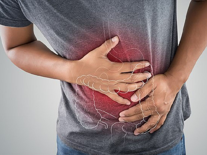  Nhiễm sán dây có thể gây nôn mửa hoặc tiêu chảy - Ảnh minh họa: Shutterstock