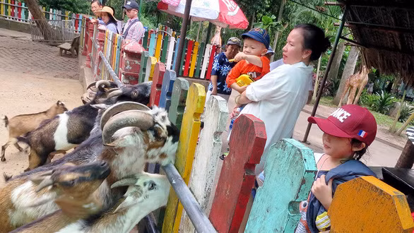  Phụ huynh đưa con đi chơi ở Thảo cầm viên (TP.HCM) - Ảnh: THANH ĐẠM