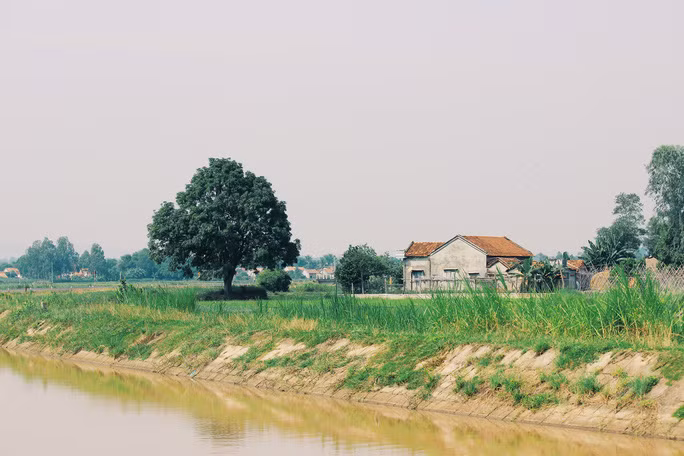 Một khung cảnh từng xuất hiện trên bộ phim "Tôi thấy hoa vàng trên cỏ xanh" Một khung cảnh từng xuất hiện trên bộ phim