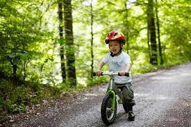 Ảnh minh họa (nguồn internet)