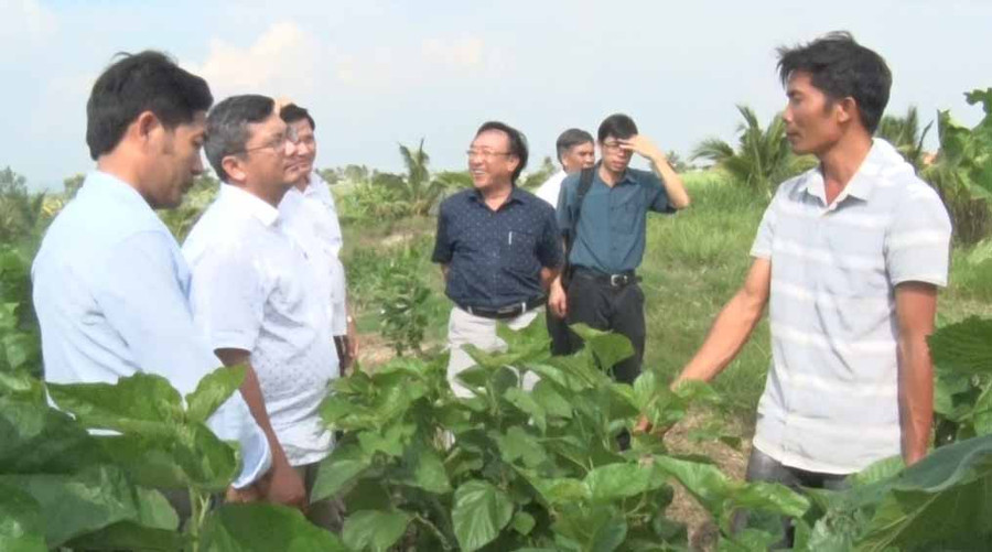 Lãnh đạo huyện Kbang tham quan, kiểm tra việc trồng dâu nuôi tằm ở xã Kông Bờ La. Ảnh: Minh Ngân