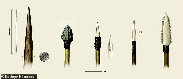  Hình vẽ mô tả các vũ khí được tìm thấy - ảnh: KATHRYN KILLACKEY