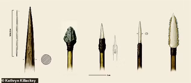 Hình vẽ mô tả các vũ khí được tìm thấy - ảnh: KATHRYN KILLACKEY Hình vẽ mô tả các vũ khí được tìm thấy - ảnh: KATHRYN KILLACKEY