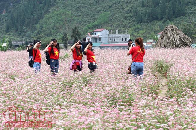 Các bạn trẻ tạo dáng bên hoa tam giác mạch ở Hà Giang. Ảnh: Lê Phú