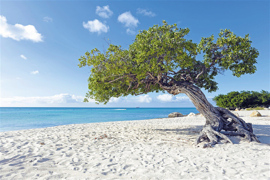 Bãi biển nhuộm nắng của Aruba - Ảnh: Lonely Planet