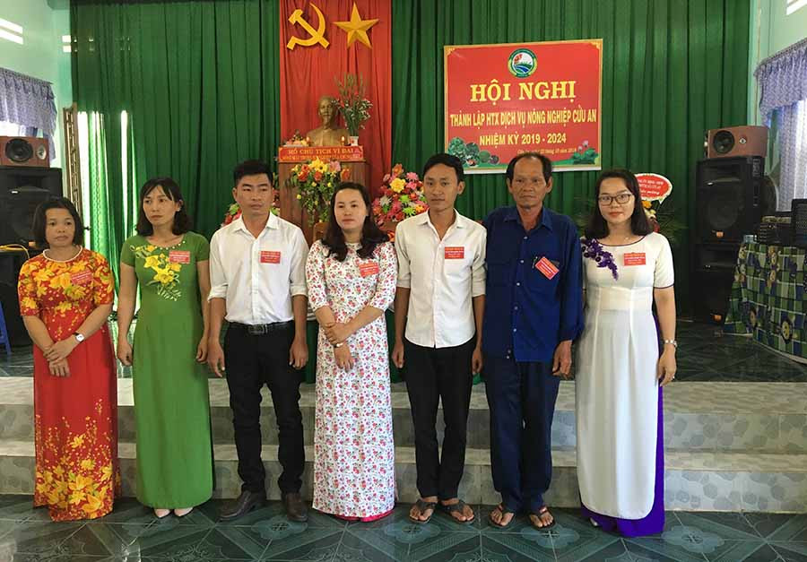  Ban Giám đốc HTX Dịch vụ nông nghiệp Cửu An, thị xã An Khê. Ảnh: N.M