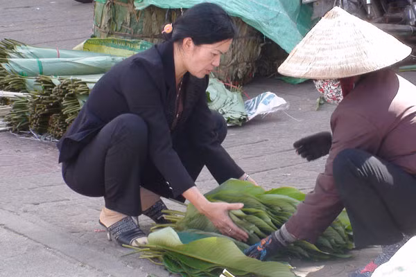 Chọn lá dong trên đường Trần Phú. Ảnh: Trần Dung