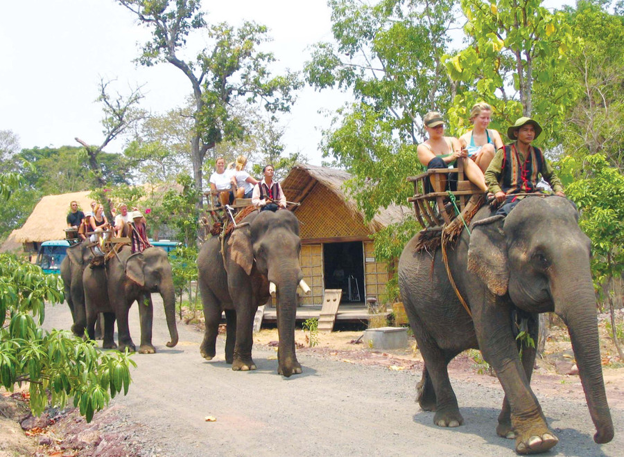  Du khách cưỡi voi ở Buôn Đôn (Đak Lak). Ảnh: Minh Quang 