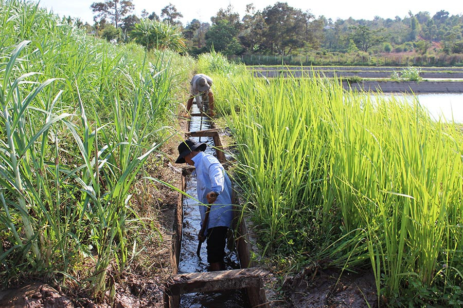 Nạo vét kênh mương. Ảnh: Nguyễn Diệp Nạo vét kênh mương. Ảnh: Nguyễn Diệp