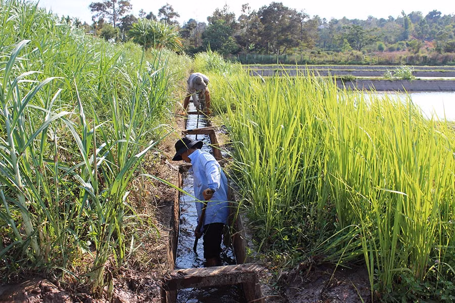 Nạo vét kênh mương. Ảnh: Nguyễn Diệp