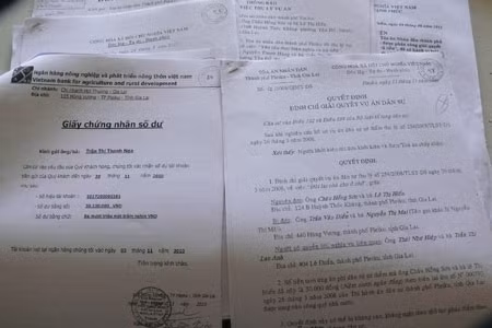 Hồ sơ vụ kiện. 