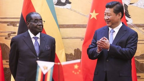 Tổng thống Zimbabwe Robert Mugabe (trái) và Chủ tịch Trung Quốc Tập Cận Bình. Ảnh: Getty.