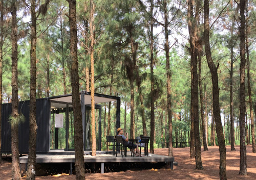 Khu rừng thông bên hồ trở thành triển lãm ngoài trời. Ảnh: Art in the forest. Khu rừng thông bên hồ trở thành triển lãm ngoài trời. Ảnh: Art in the forest.