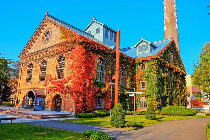  Nhà máy bia Sapporo được bao phủ bởi ba sắc màu - vàng, đỏ, xanh - của những chiếc lá.