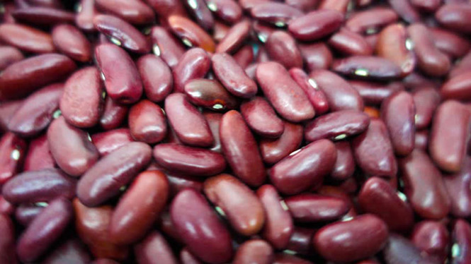 Đậu thận có nhiều chất xơ và rất tốt cho việc điều trị bất kỳ loại bệnh thận nào.