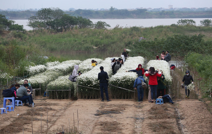 Vườn hoa chỉ vỏn vẹn 5 luống, trong đó vài luống đã cắt tỉa cũng thu hút đông người. Những bãi đỗ xe chật kín mọc lên bên ngoài các vườn hoa.