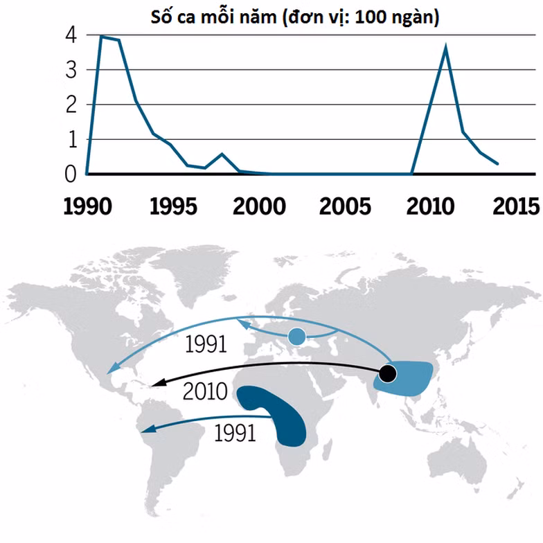  Quá trình vi khuẩn tả đến châu Mỹ trong 2 đợt dịch lớn gần đây - Ảnh: Science