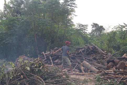 Kho chỉ ở rừng sâu, núi thẳm,… mới có nghề mót củi, thì điều đó thật sự sai lầm.