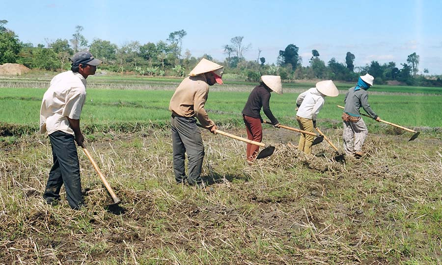 Đồng bào dân tộc thiểu số chuẩn bị đất sản xuất. Ảnh: Lương Thanh  Đồng bào dân tộc thiểu số chuẩn bị đất sản xuất. Ảnh: Lương Thanh