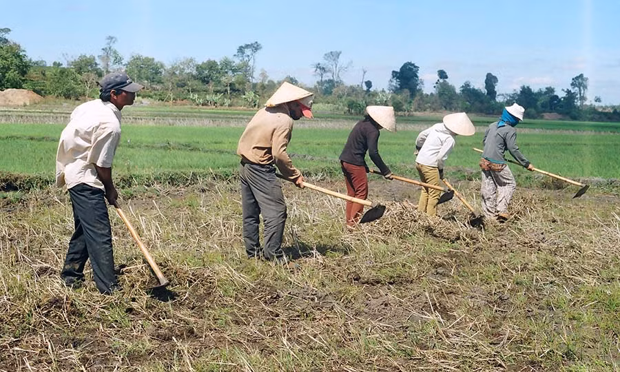  Đồng bào dân tộc thiểu số chuẩn bị đất sản xuất. Ảnh: Lương Thanh