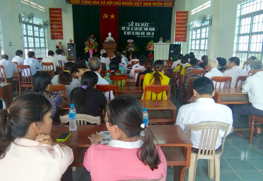 HTX sản xuất kinh doanh và dịch vụ chăn nuôi Song An (thị xã An Khê) được ra mắt vào tháng 8-2017. Ảnh: Hồng Thi