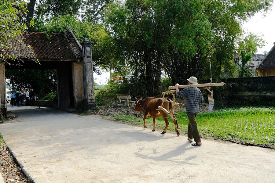  Cổng làng Mông Phụ