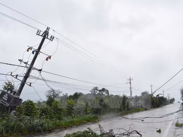  Cột điện trên địa bàn huyện M' Đrắk, Đắk Lắk bị gãy đổ.