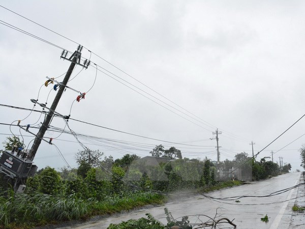  Cột điện trên địa bàn huyện M' Đrắk, Đắk Lắk bị gãy đổ.