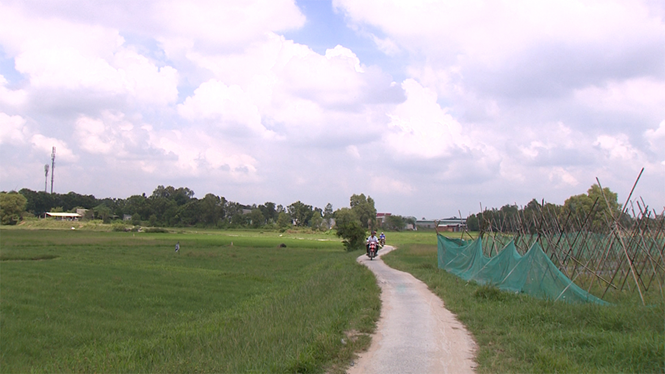 Khu đô thị Tây Bắc Củ Chi đến nay chưa giải phóng mặt bằng, vẫn là đất của dân nhưng Công ty CP Địa ốc Alibaba đem bán thu về 16 tỉ đồng