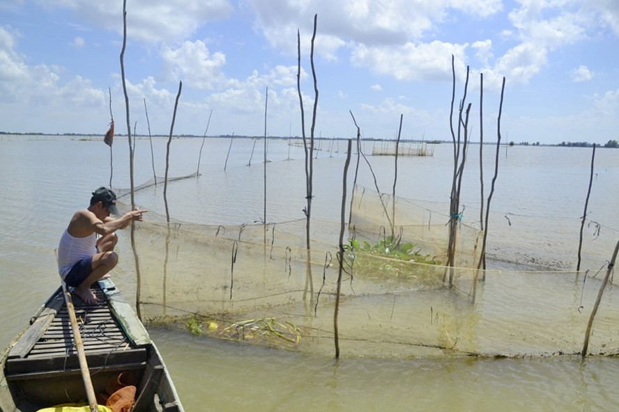Nước lên cao hơn năm trước đã nhấn chìm đồng đất thành biển nước. Nước lên cao hơn năm trước đã nhấn chìm đồng đất thành biển nước.