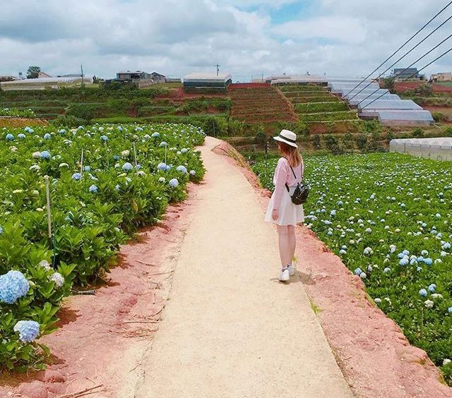 Ảnh: thanhthanh Ảnh: thanhthanh