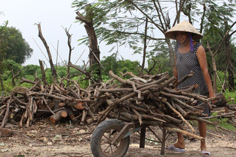 Bà Hồ Thị Tho (56 tuổi) làm nghề này đã mười mấy năm nay.