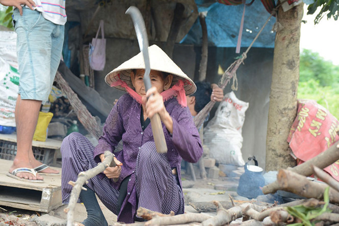 Bà Nguyễn Thị Ra (74 tuổi) ngày ngày vẫn đi mót và tự tay chặt từng nhánh củi.