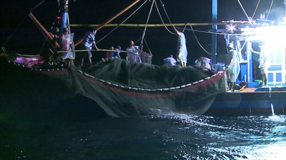 Lao động đi biển đang khan hiếm.