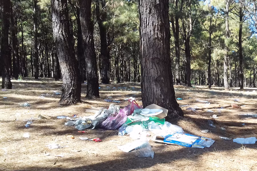 Ảnh internet Ảnh internet