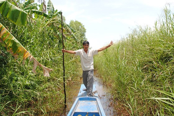  Khu vực Lâm ngư trường Sông Trẹm trước đây cắt 500m hậu đất dẫn đến khiếu nại lâu dài