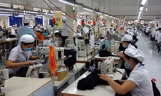 Ảnh minh họa Ảnh minh họa