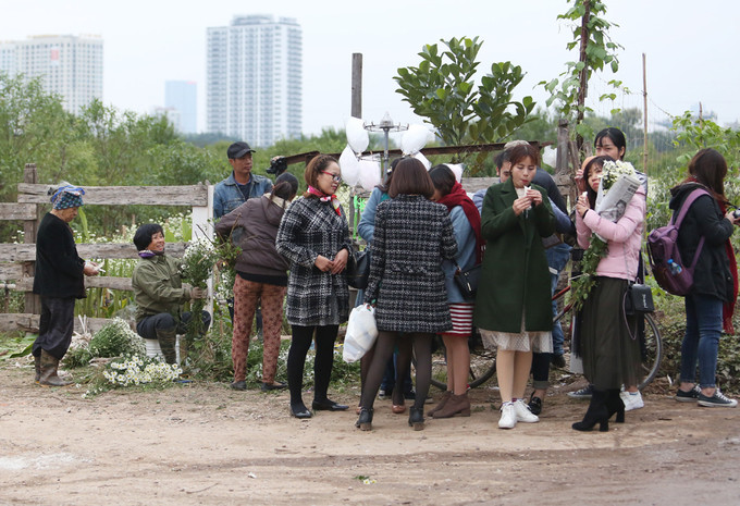 Cuối tuần, đoạn đường dẫn vào vườn hoa bãi giữa sông Hồng người đến quá đông. 