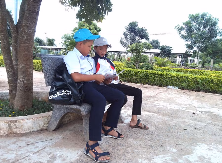 Học sinh tranh thủ ôn bài dưới bóng mát cây xanh trong sân trường. Ảnh: Minh Nguyễn